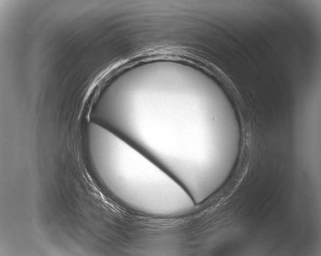 X0000086251117200703291028