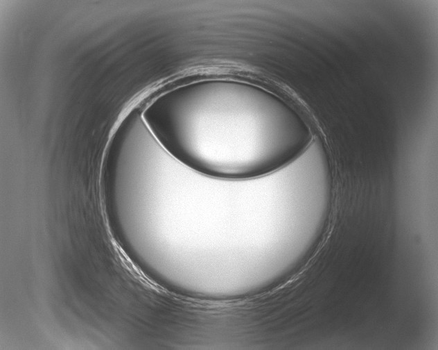 X0000086251122200703291028