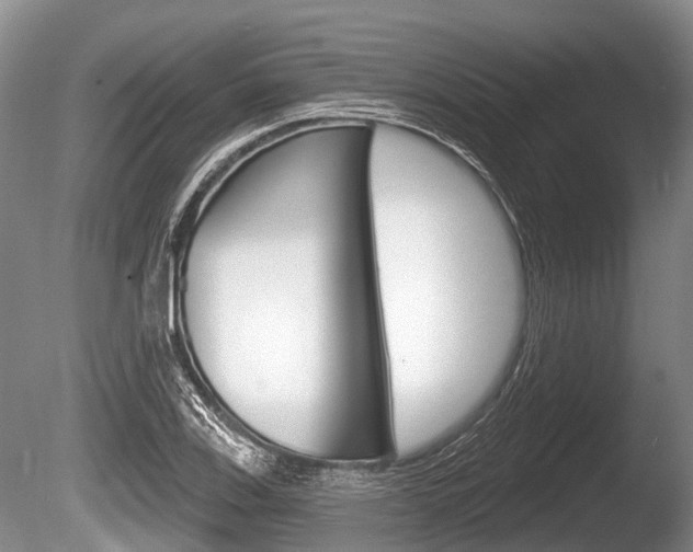 X0000086251123200703291028