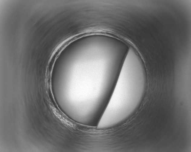 X0000086251124200703291028