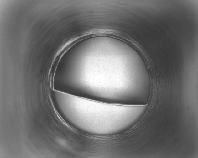 X0000086251127200703291028