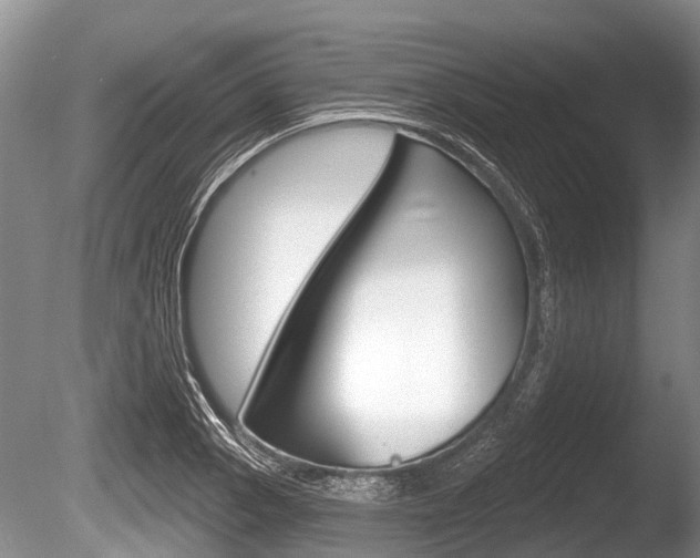X0000086251129200703291028