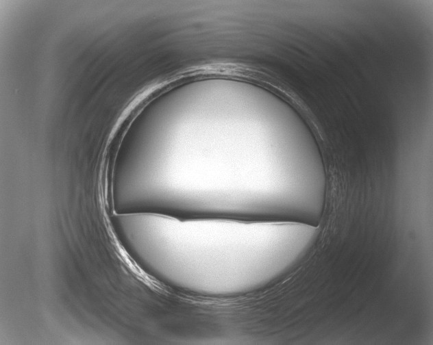 X0000086251131200703291028