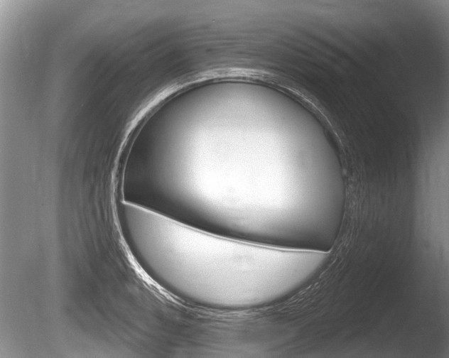X0000086251135200703291028