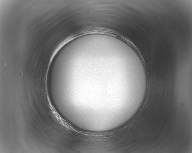 X0000086251138200703291028