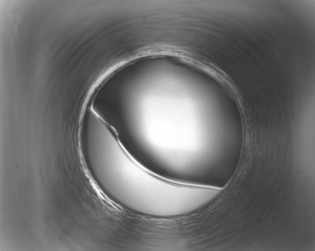 X0000086251144200703291028