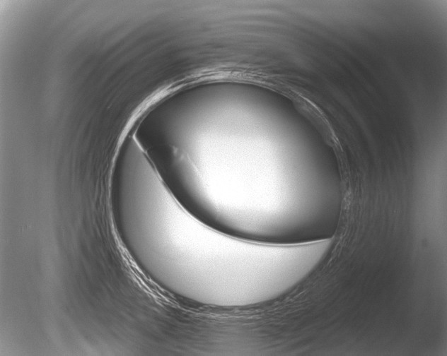 X0000086251146200703291028