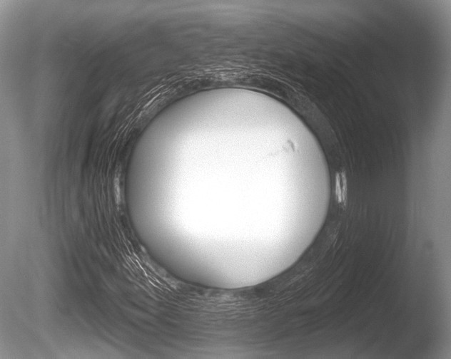 X0000086251155200703291028