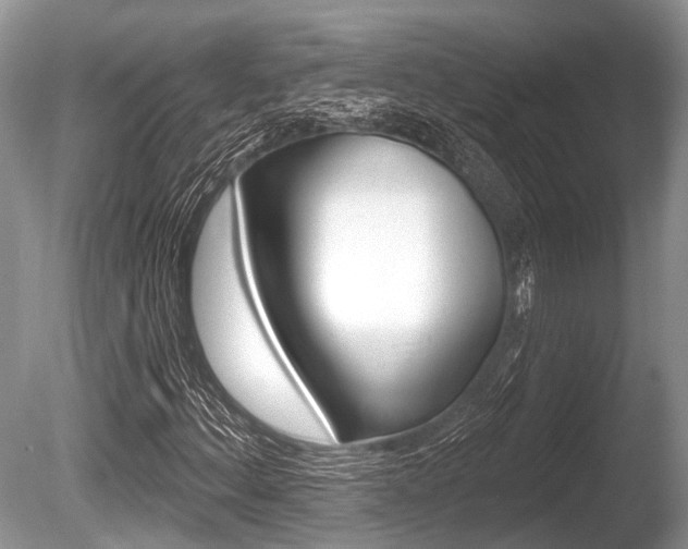 X0000086251156200703291028