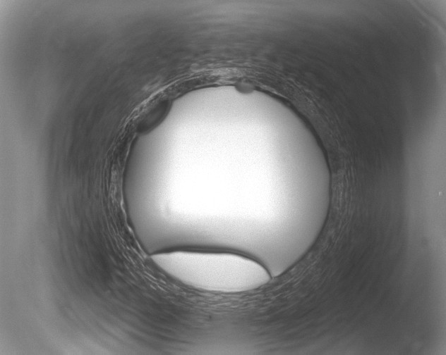 X0000086251158200703291028