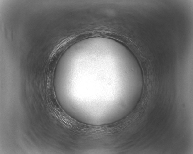 X0000086251159200703291028