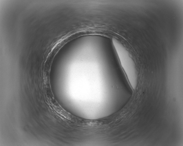X0000086251160200703291028