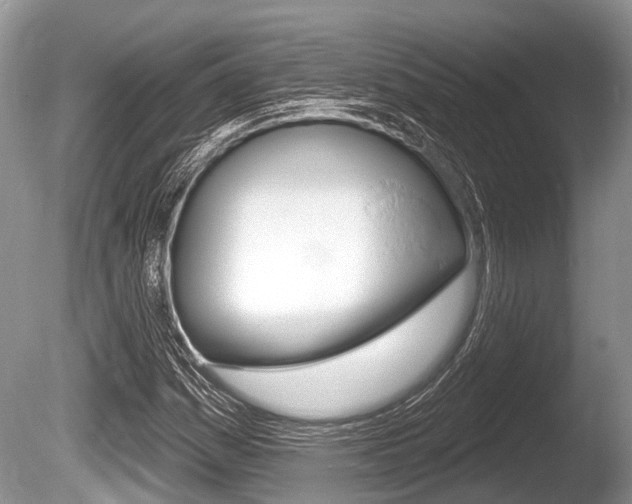X0000086251161200703291028