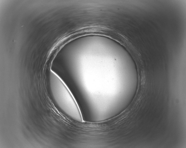 X0000086251164200703291027