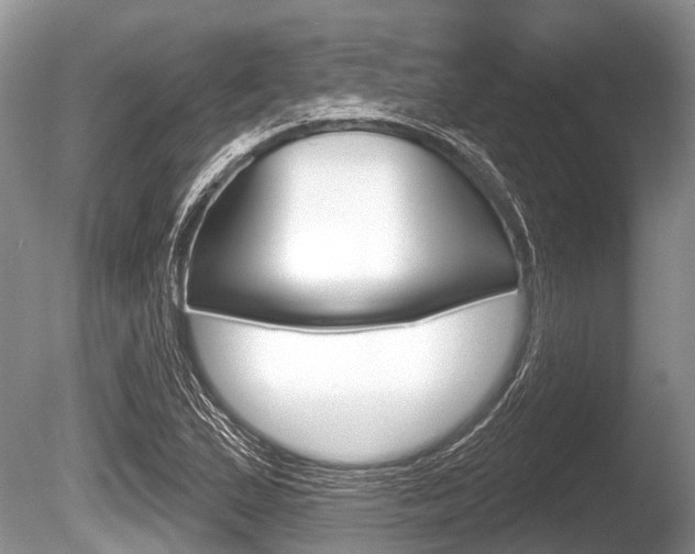 X0000086251167200703291027