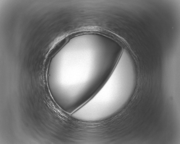 X0000086251168200703291027