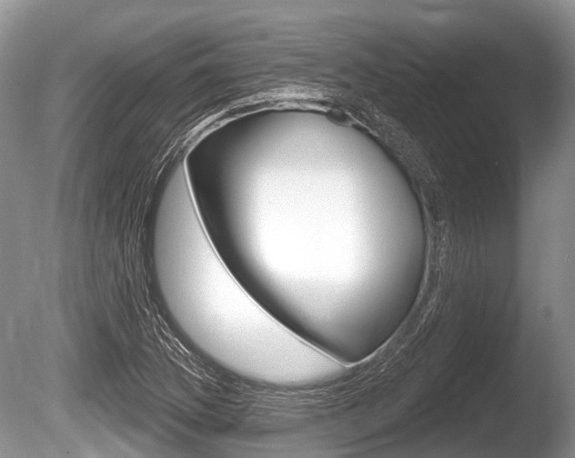 X0000086251169200703291027