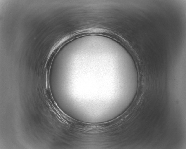 X0000086251171200703291027