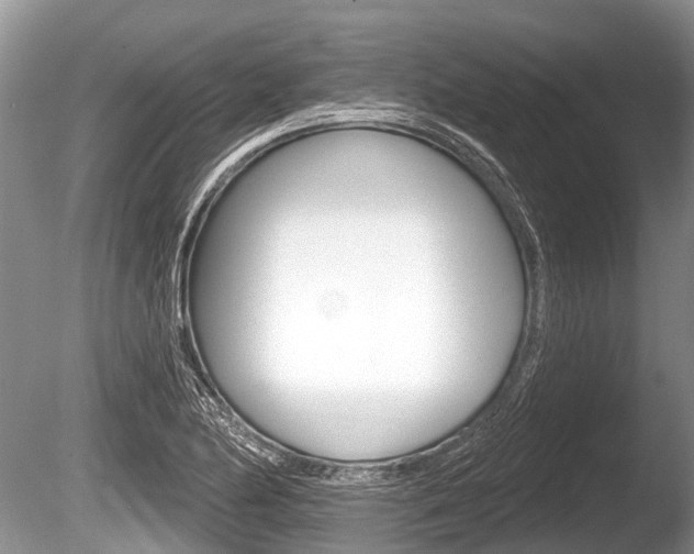 X0000086251174200703291027
