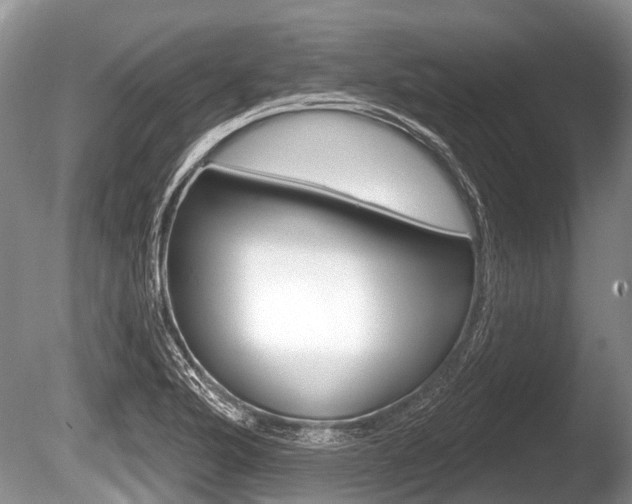X0000086251176200703291027