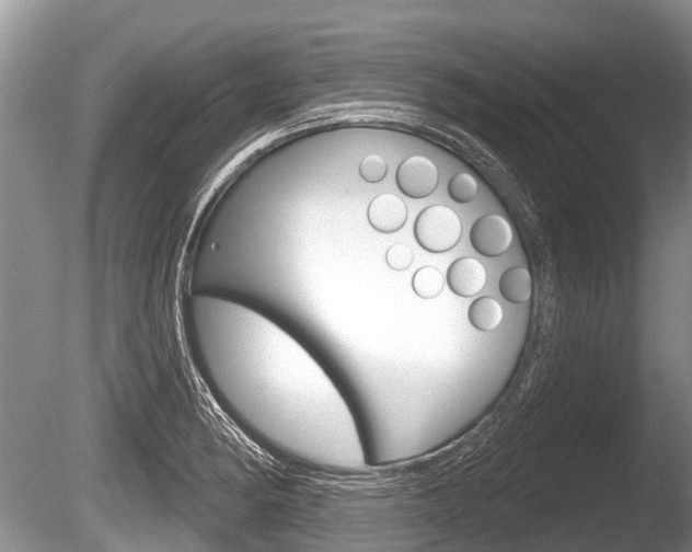 X0000086251182200703291027