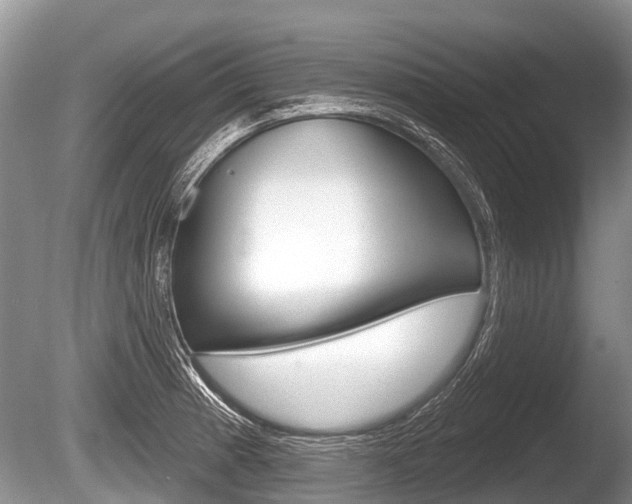 X0000086251185200703291027