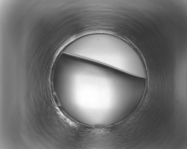 X0000086251189200703291027