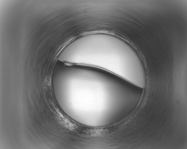 X0000086251193200703291027