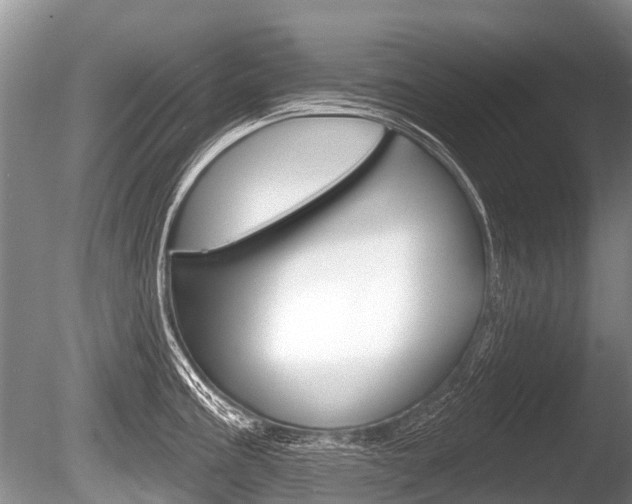 X0000086251195200703291027