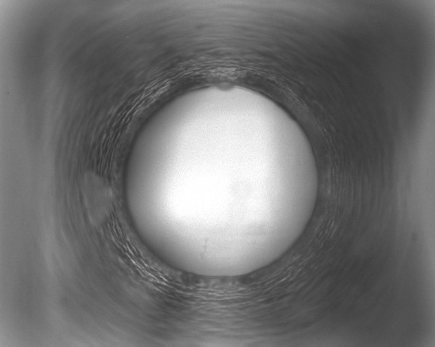 X0000086251201200703291026