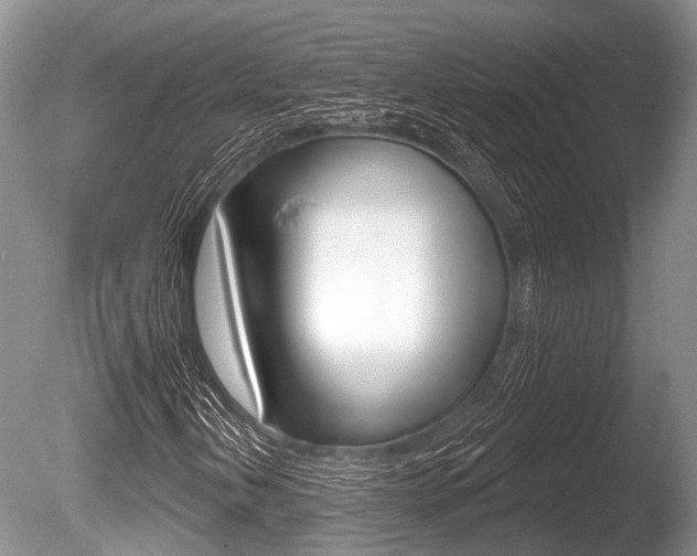 X0000086251202200703291026