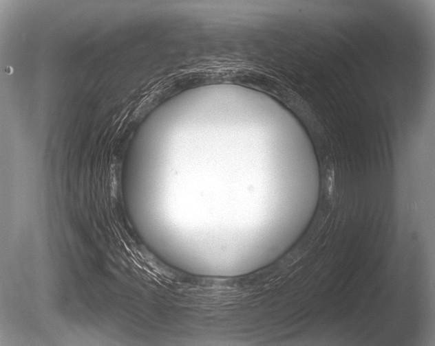 X0000086251204200703291026