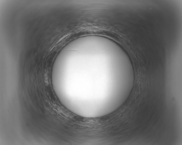 X0000086251205200703291026