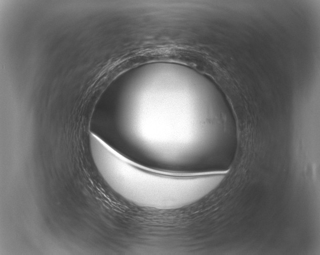 X0000086251206200703291026