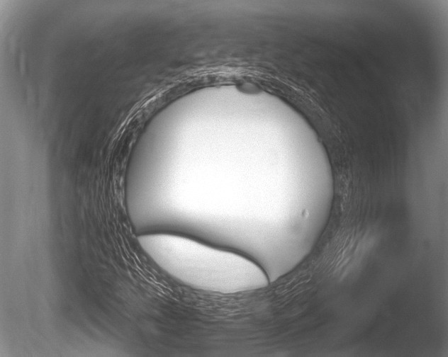 X0000086251207200703291026