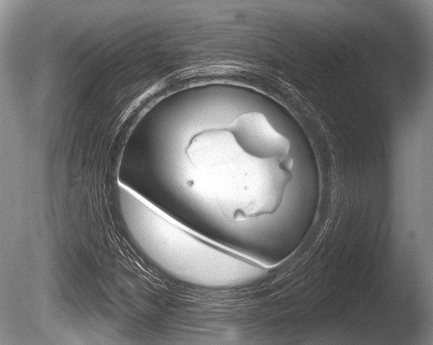 X0000086251210200703291026