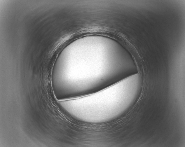 X0000086251213200703291026