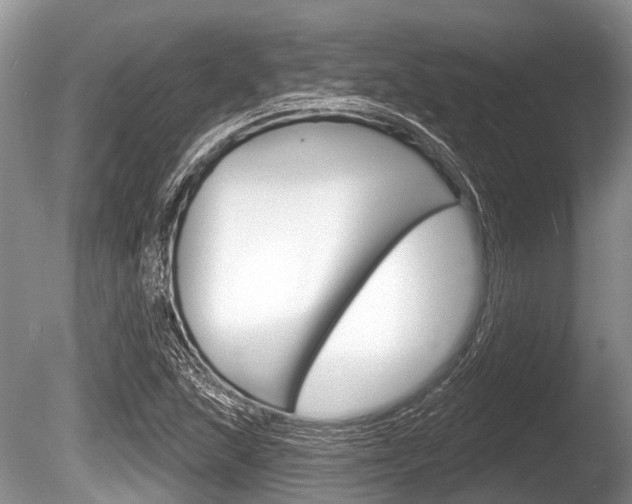 X0000086251215200703291026