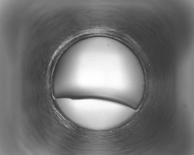 X0000086251216200703291026