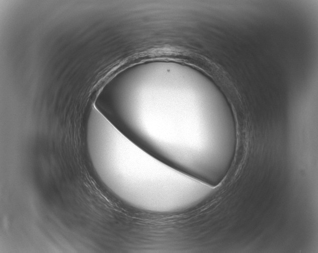 X0000086251217200703291026
