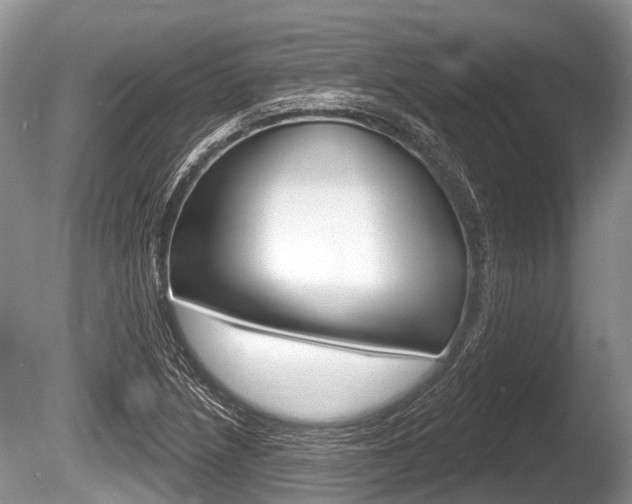 X0000086251218200703291026