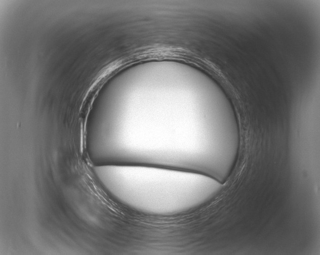X0000086251219200703291026