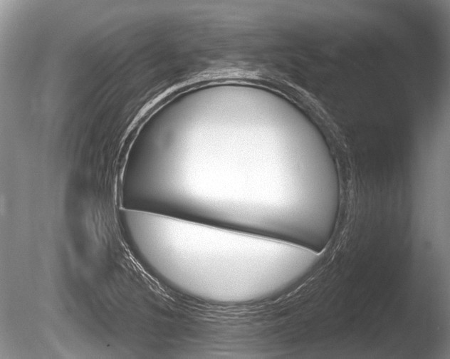 X0000086251220200703291026