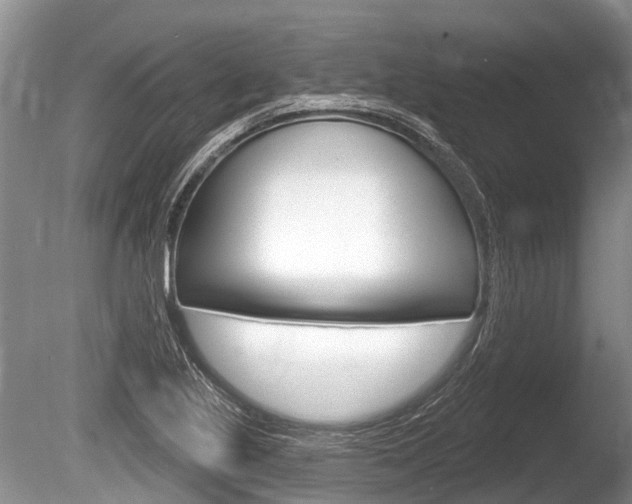 X0000086251221200703291026