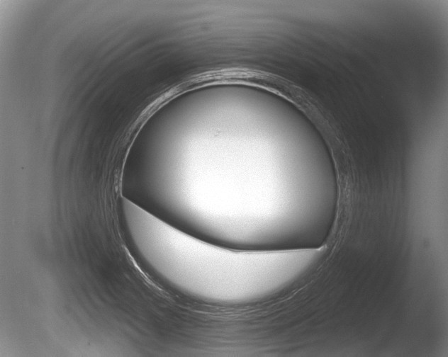 X0000086251225200703291026