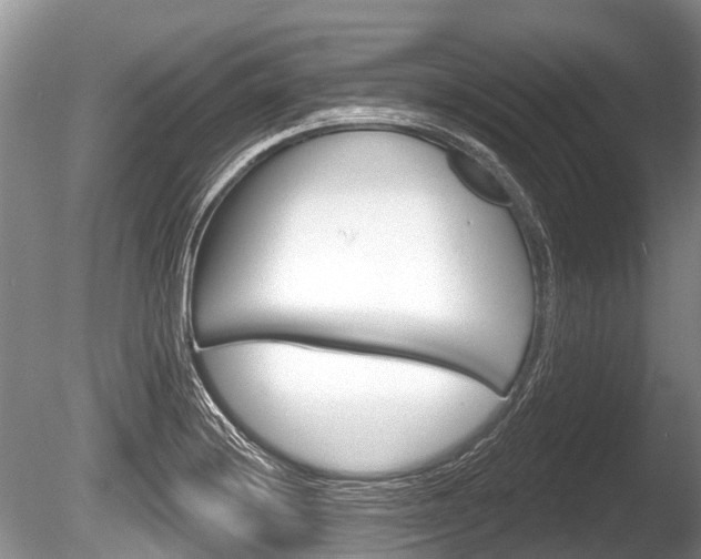 X0000086251228200703291026
