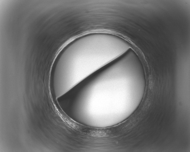 X0000086251229200703291026
