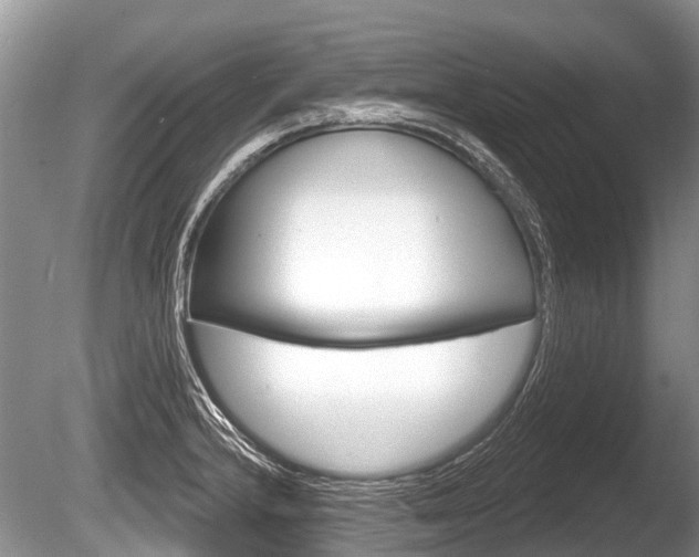 X0000086251232200703291027