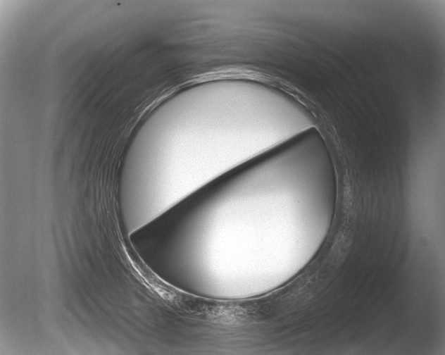 X0000086251233200703291027