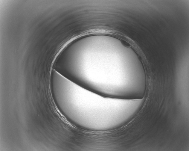 X0000086251236200703291027